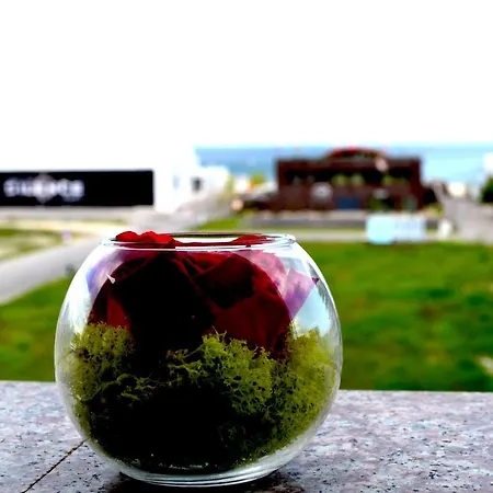 Daire Summerland Sea & Mamaia