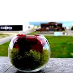 Apartamento Summerland Sea & Mamaia